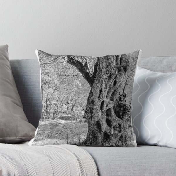 Item preview, Ancient Tree Trunk Black and White Photographic Print designed and sold by Mother-Nature65.
