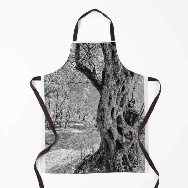 Item preview, Ancient Tree Trunk Black and White Photographic Print designed and sold by Mother-Nature65.