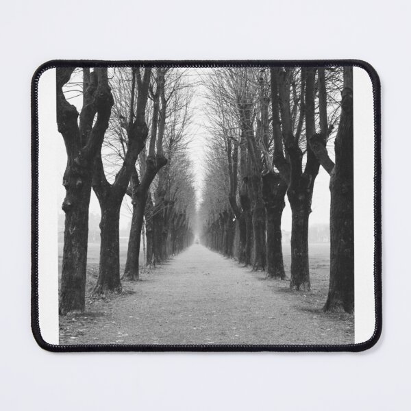 Item preview, Winter Trees Path Black and White Photographic Print designed and sold by Mother-Nature65.