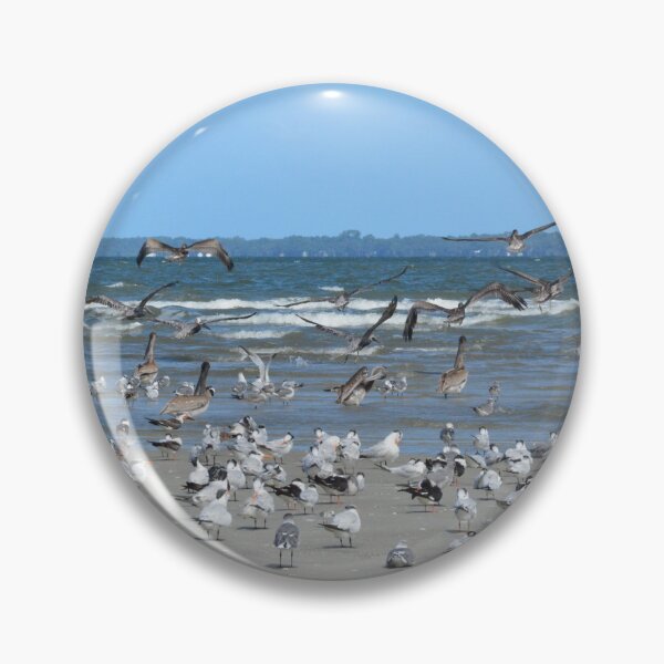 Item preview, Hilton Head,  Seagulls And Pelicans designed and sold by LisaWootenPhoto.