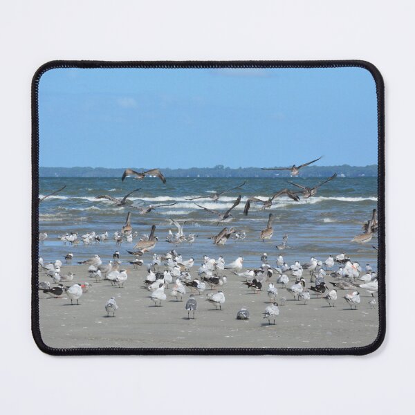 Item preview, Hilton Head,  Seagulls And Pelicans designed and sold by LisaWootenPhoto.