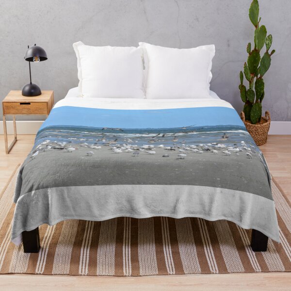 Item preview, Hilton Head,  Seagulls And Pelicans designed and sold by LisaWootenPhoto.