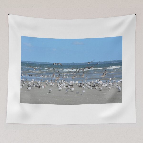 Item preview, Hilton Head,  Seagulls And Pelicans designed and sold by LisaWootenPhoto.