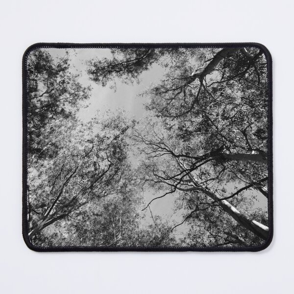 Item preview, Canopy Cathedral designed and sold by Theo's Studio.