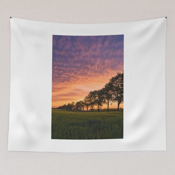 Item preview, Grass Field Sunset Photographic Print designed and sold by Mother-Nature65.