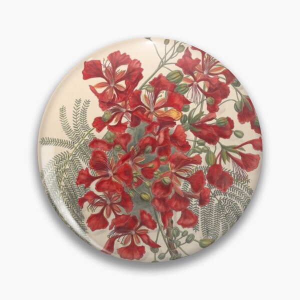Artikelvorschau, Botanische Illustration des Flammenbaums (Royal Poinciana) entworfen und verkauft von AzizamWorks.