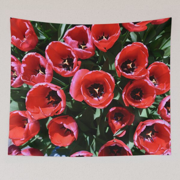 Item preview, Sea of Red Tulips – Spring Full of Passion / Swiss Artwork Photography designed and sold by Raphael Wolf.