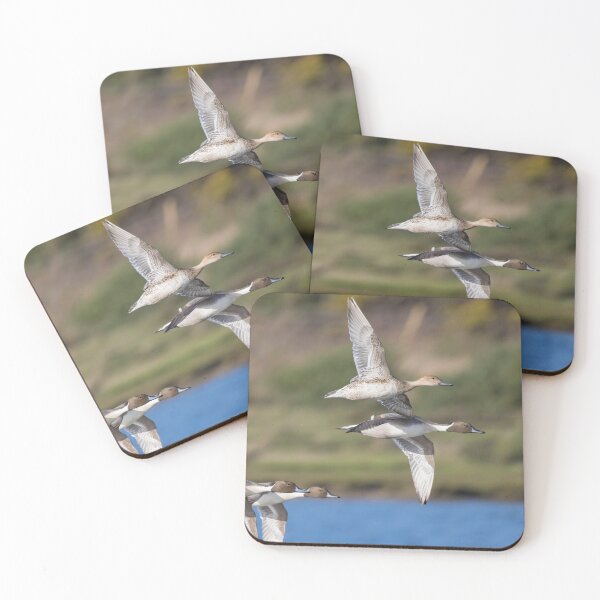 Item preview, Northern Pintail designed and sold by LaurenTucker.
