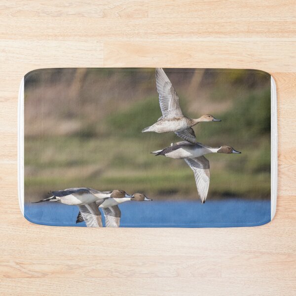 Item preview, Northern Pintail designed and sold by LaurenTucker.