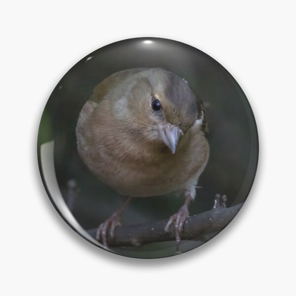 Item preview, Common Chaffinch designed and sold by LaurenTucker.