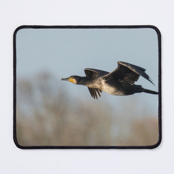 Item preview, Great Cormorant designed and sold by LaurenTucker.