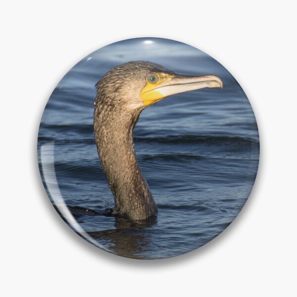 Item preview, Great Cormorant designed and sold by LaurenTucker.
