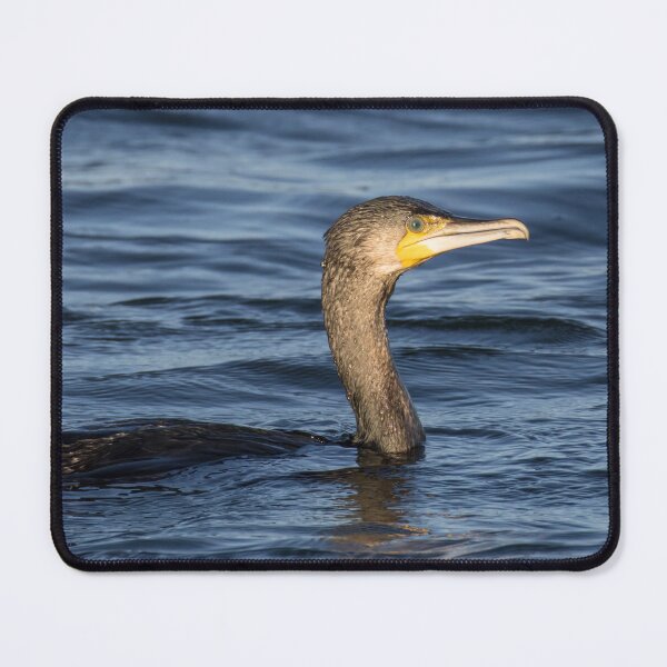 Item preview, Great Cormorant designed and sold by LaurenTucker.