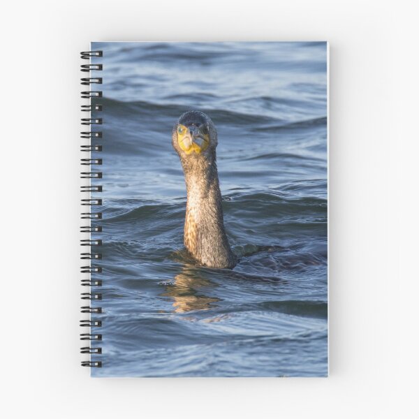 Item preview, Great Cormorant designed and sold by LaurenTucker.