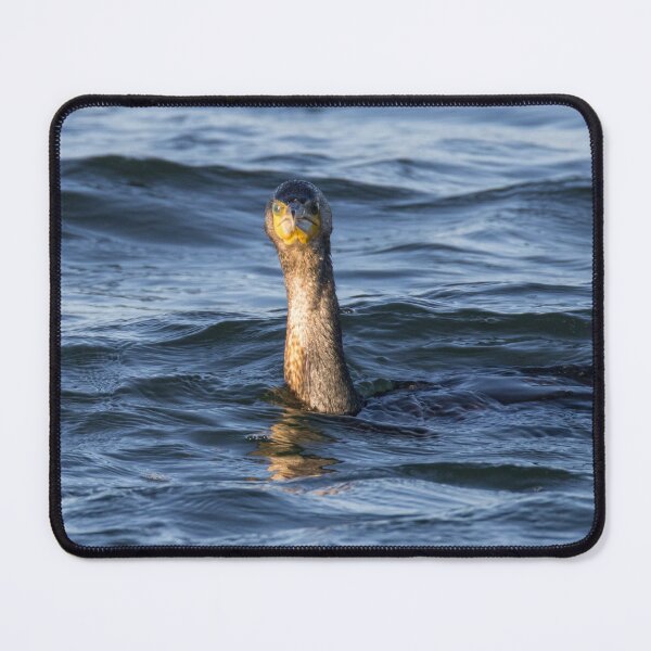 Item preview, Great Cormorant designed and sold by LaurenTucker.