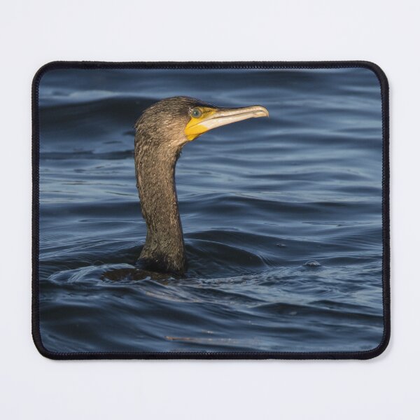 Item preview, Great Cormorant designed and sold by LaurenTucker.