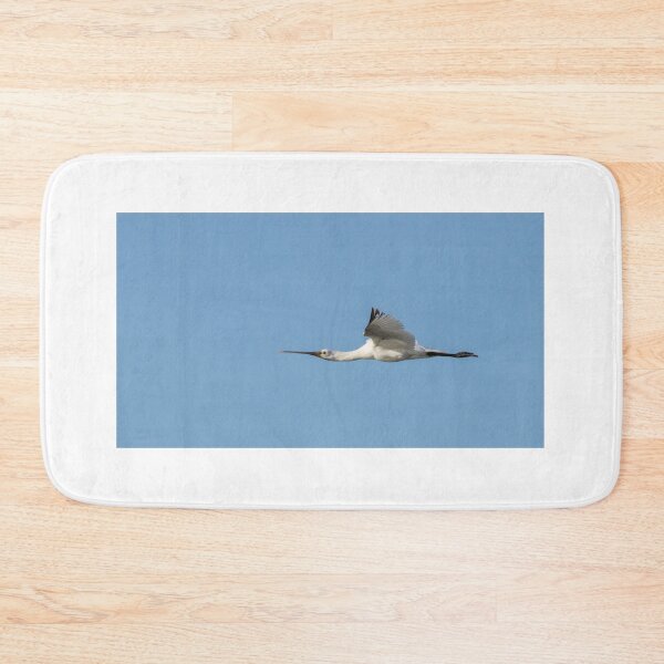 Item preview, Eurasian Spoonbill designed and sold by LaurenTucker.