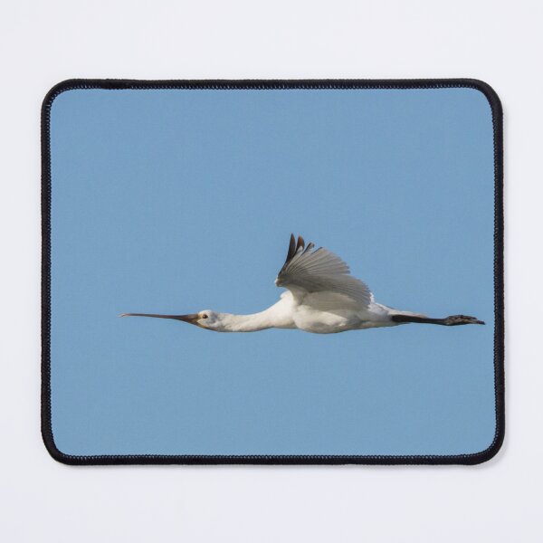 Item preview, Eurasian Spoonbill designed and sold by LaurenTucker.