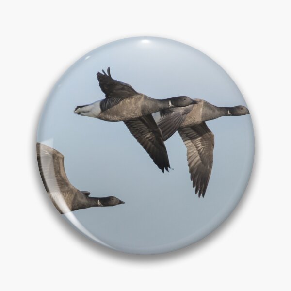 Item preview, Brent Goose designed and sold by LaurenTucker.