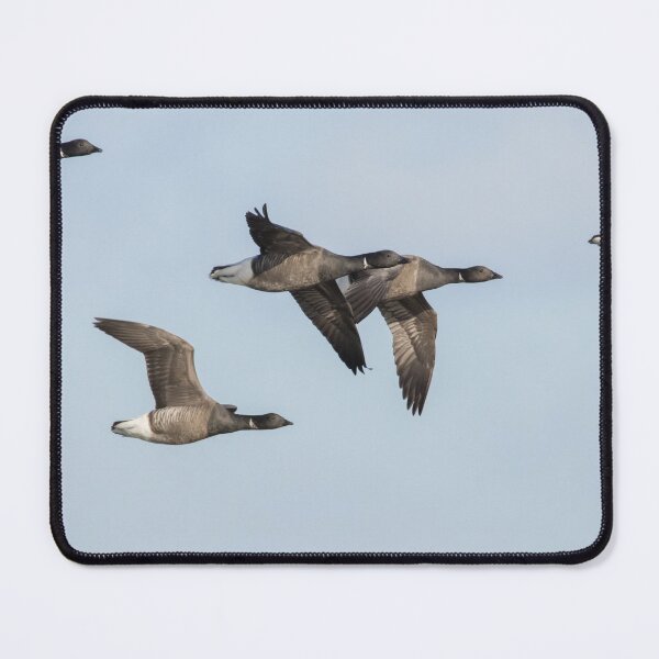 Item preview, Brent Goose designed and sold by LaurenTucker.
