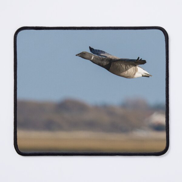 Item preview, Brent Goose designed and sold by LaurenTucker.