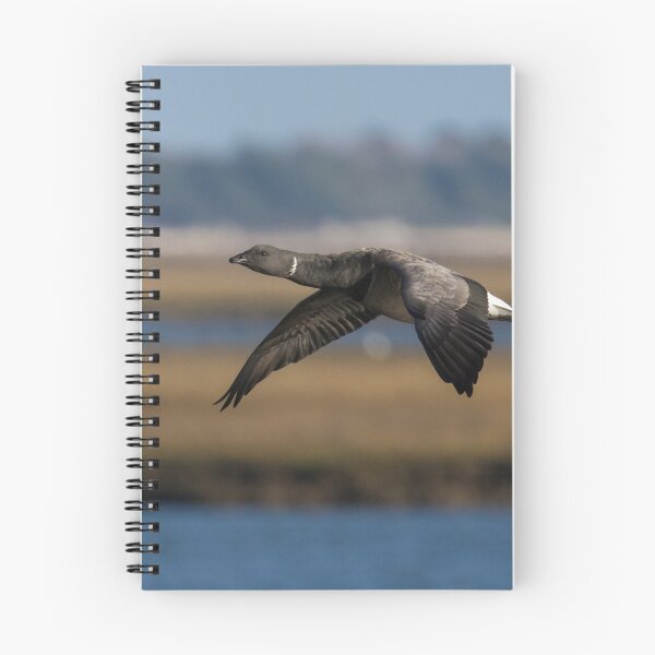 Item preview, Brent Goose designed and sold by LaurenTucker.