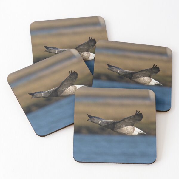 Item preview, Brent Goose designed and sold by LaurenTucker.
