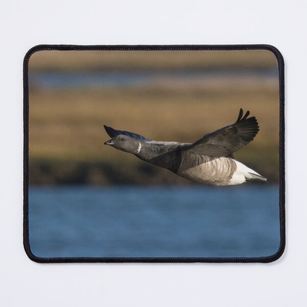Item preview, Brent Goose designed and sold by LaurenTucker.