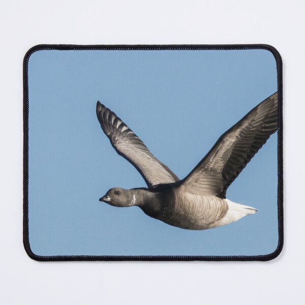 Item preview, Brent Goose designed and sold by LaurenTucker.