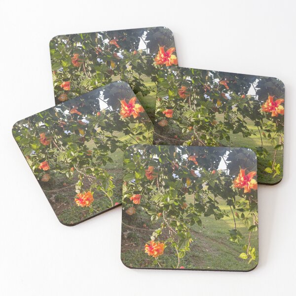 Item preview, Sunlit Orange Hibiscus Blooms designed and sold by TrisaThyme.