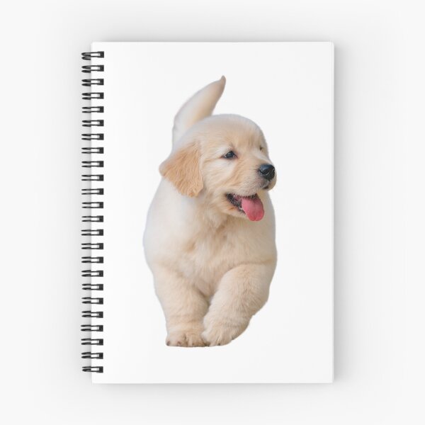 Item preview, Funny playing dog, puppy, pet, friend, animal designed and sold by JrtLeon.