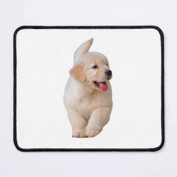Item preview, Funny playing dog, puppy, pet, friend, animal designed and sold by JrtLeon.