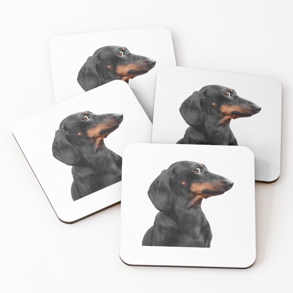 Item preview, Funny playing dog, puppy, pet, friend, animal designed and sold by JrtLeon.