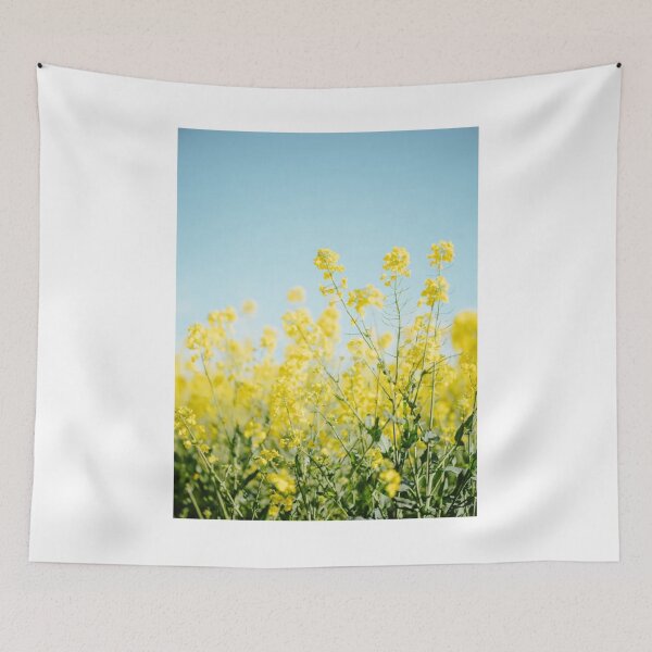 Item preview, Yellow Flowers Blue Sky Photographic Print designed and sold by Mother-Nature65.
