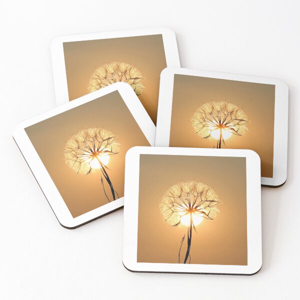 Item preview, Sun Through Flower Photographic Print designed and sold by Mother-Nature65.
