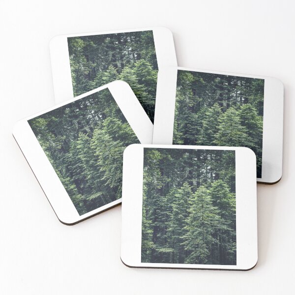 Artikelvorschau, Wald – Luftaufnahme (Fotodruck) entworfen und verkauft von Mother-Nature65.