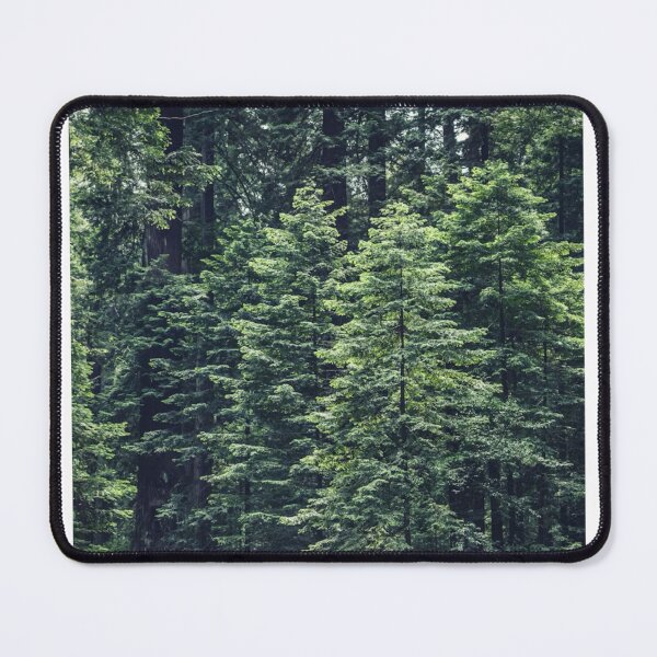 Item preview, Forest Trees Aerial View Photographic Print designed and sold by Mother-Nature65.