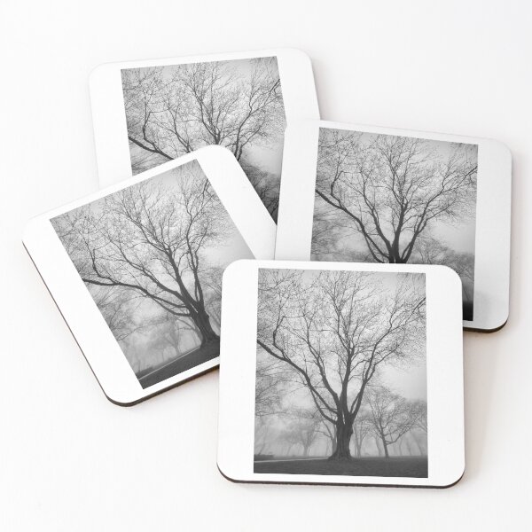 Item preview, Trees In Silhouette Black and White Photographic Print designed and sold by Mother-Nature65.