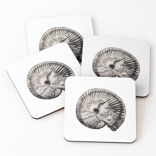 Item preview, Hoploscaphites ammonite designed and sold by di-Vera-Rosati.