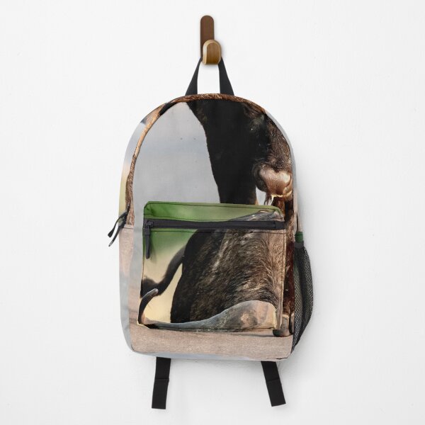 Item preview, African Buffalo on the Road, Lone Cape Buffalo Bull Walking Straight Toward You designed and sold by DavideAntoniani.