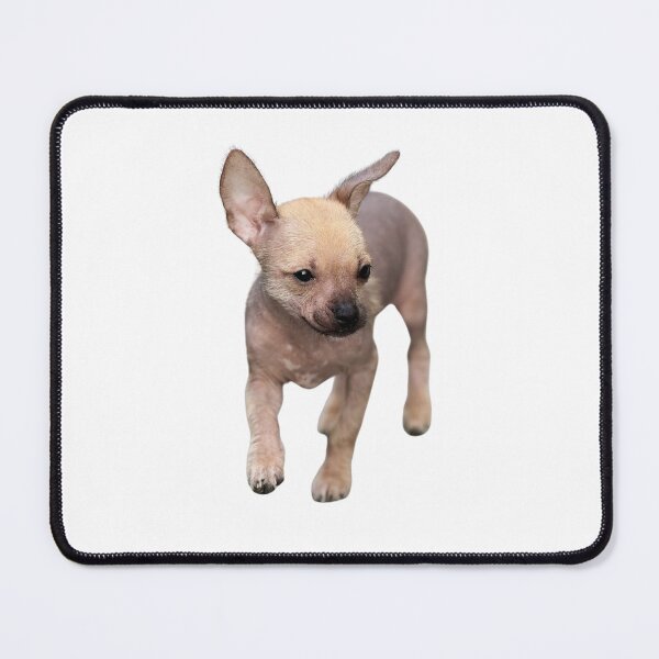 Item preview, Funny playing dog, puppy, pet, friend, animal designed and sold by JrtLeon.