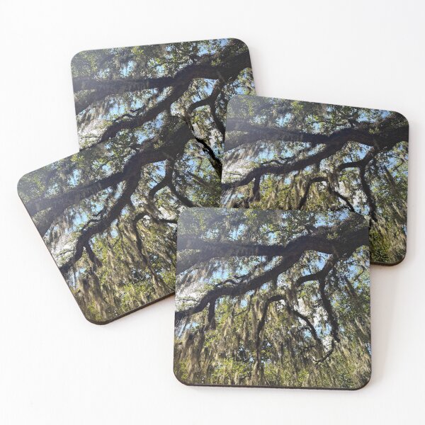Item preview, Oaks draped in Spanish Moss in Savannah designed and sold by PhotoMcKate.