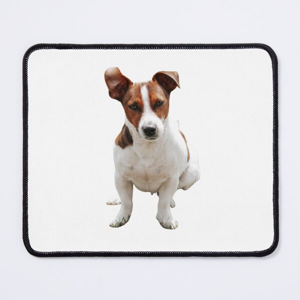 Item preview, Funny playing dog, puppy, pet, friend, animal designed and sold by JrtLeon.