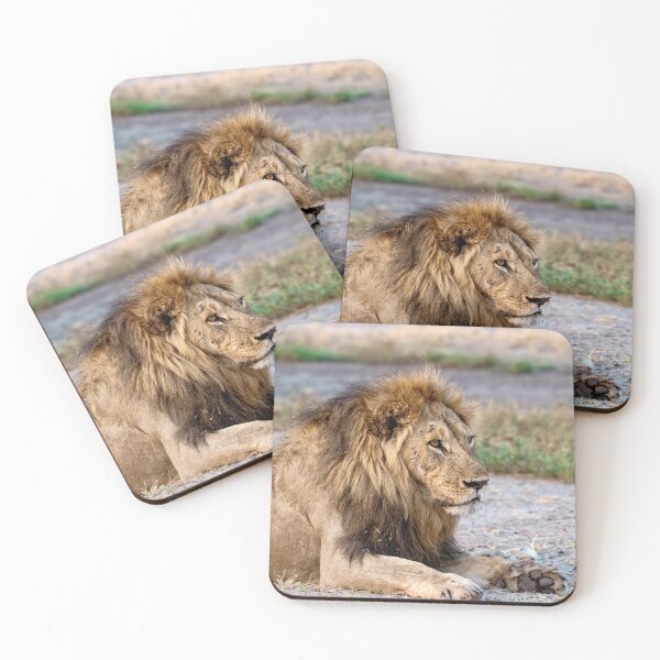 Item preview, Lion of Savuti, Sekoti Resting on the Sand, African Male Lion Portrait designed and sold by DavideAntoniani.