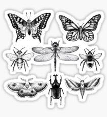 Insect Series in pointillism Sticker
