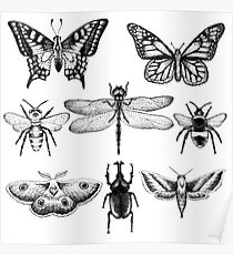Insect Series in pointillism Poster
