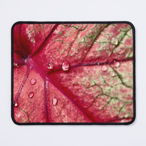 Item preview, Pink Veined Leaf with Raindrops designed and sold by TrisaThyme.
