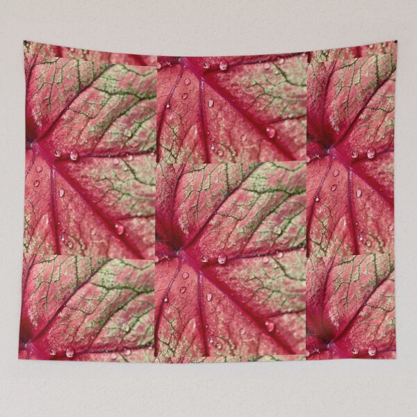 Item preview, Pink Veined Leaf with Raindrops designed and sold by TrisaThyme.