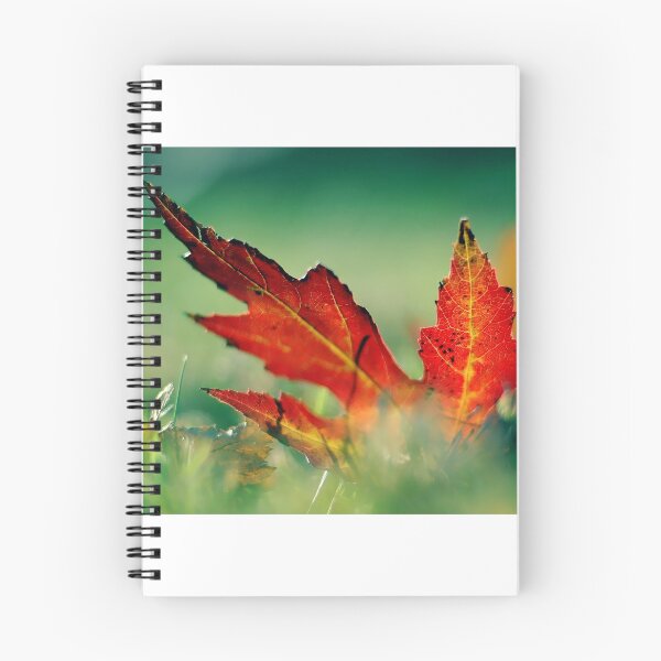 Item preview, Red Autumn Leaf designed and sold by RMSphoto.