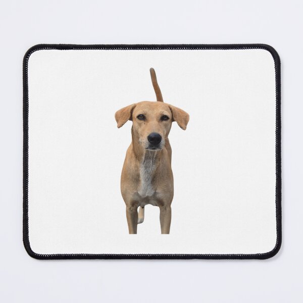 Item preview, Funny playing dog, puppy, pet, friend, animal designed and sold by JrtLeon.